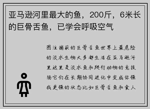 亚马逊河里最大的鱼，200斤，6米长的巨骨舌鱼，已学会呼吸空气