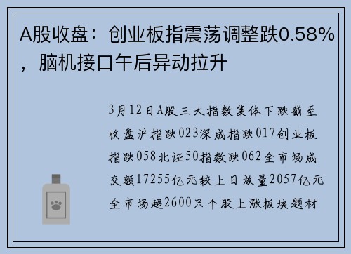 A股收盘：创业板指震荡调整跌0.58%，脑机接口午后异动拉升