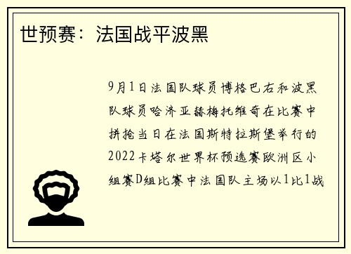 世预赛：法国战平波黑