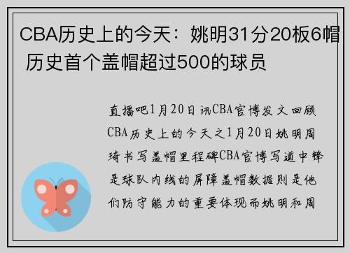 CBA历史上的今天：姚明31分20板6帽 历史首个盖帽超过500的球员