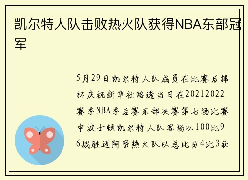 凯尔特人队击败热火队获得NBA东部冠军